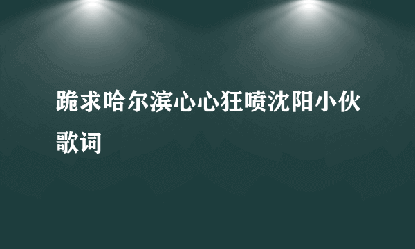 跪求哈尔滨心心狂喷沈阳小伙歌词