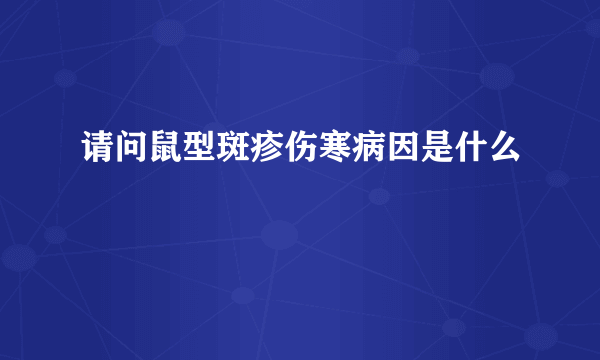 请问鼠型斑疹伤寒病因是什么