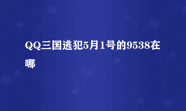 QQ三国逃犯5月1号的9538在哪