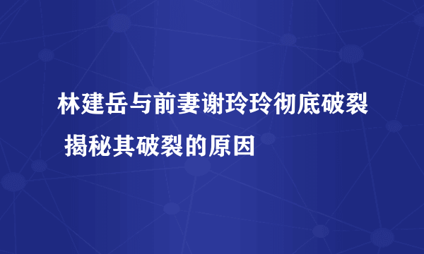 林建岳与前妻谢玲玲彻底破裂 揭秘其破裂的原因