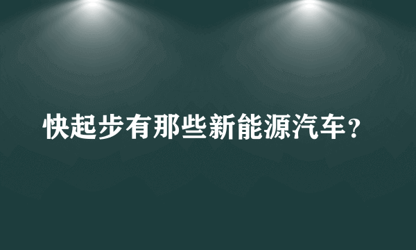 快起步有那些新能源汽车？