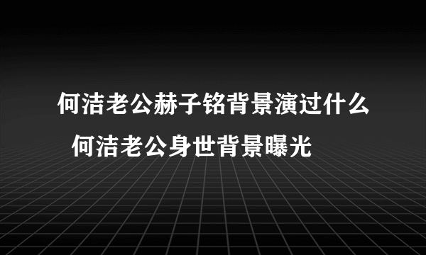 何洁老公赫子铭背景演过什么  何洁老公身世背景曝光