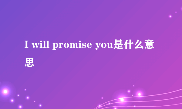 I will promise you是什么意思