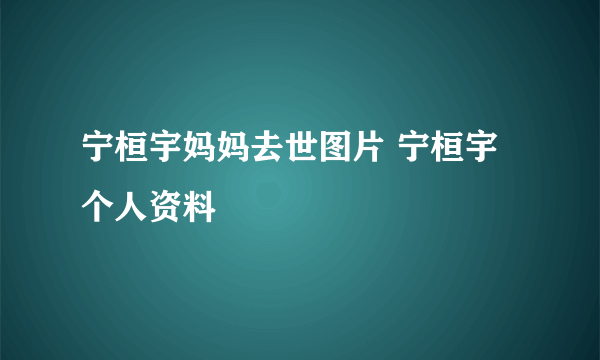 宁桓宇妈妈去世图片 宁桓宇个人资料