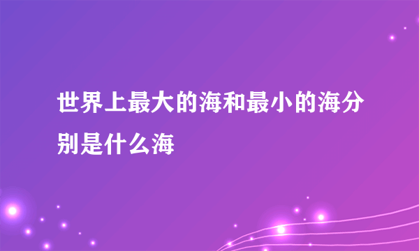 世界上最大的海和最小的海分别是什么海