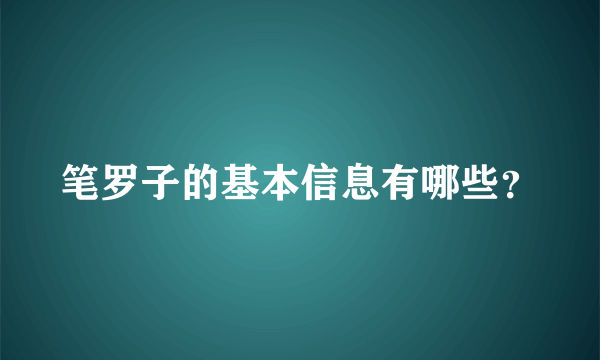 笔罗子的基本信息有哪些？