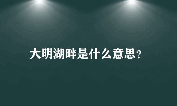 大明湖畔是什么意思？