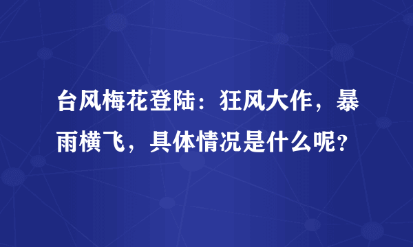 台风梅花登陆：狂风大作，暴雨横飞，具体情况是什么呢？