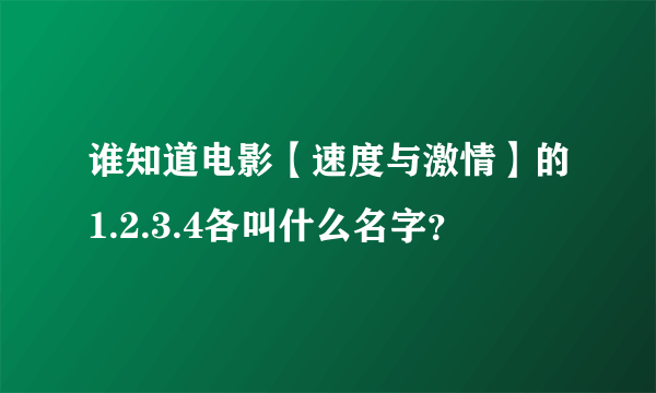 谁知道电影【速度与激情】的1.2.3.4各叫什么名字？