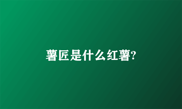 薯匠是什么红薯?