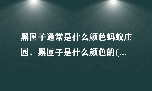 黑匣子通常是什么颜色蚂蚁庄园，黑匣子是什么颜色的( 二 )