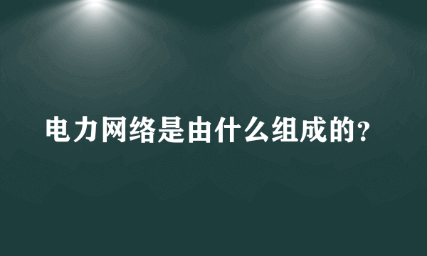 电力网络是由什么组成的？