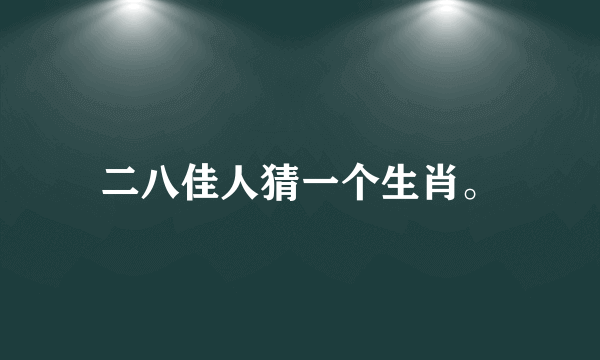 二八佳人猜一个生肖。