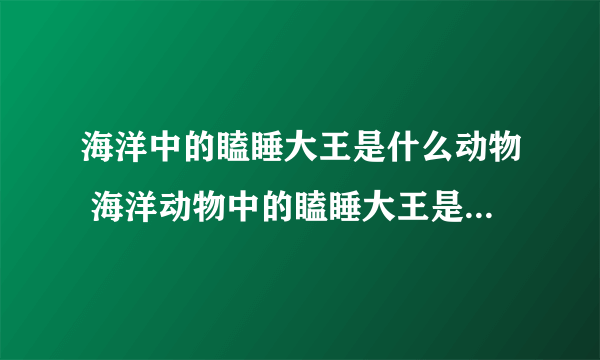 海洋中的瞌睡大王是什么动物 海洋动物中的瞌睡大王是哪种动物