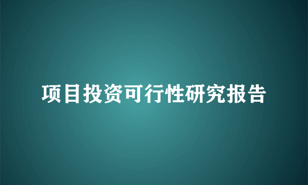 项目投资可行性研究报告