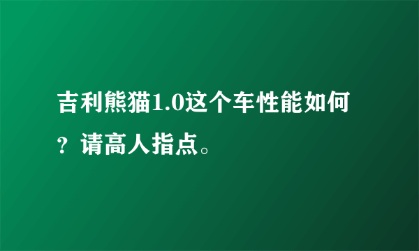 吉利熊猫1.0这个车性能如何？请高人指点。