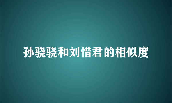 孙骁骁和刘惜君的相似度