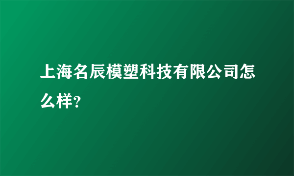 上海名辰模塑科技有限公司怎么样？