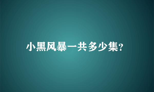 小黑风暴一共多少集？