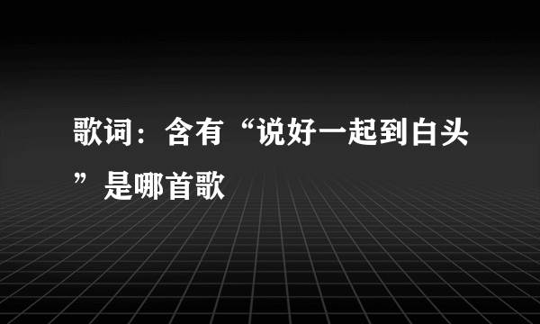 歌词：含有“说好一起到白头”是哪首歌