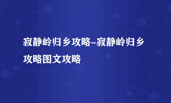 寂静岭归乡攻略-寂静岭归乡攻略图文攻略