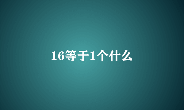 16等于1个什么