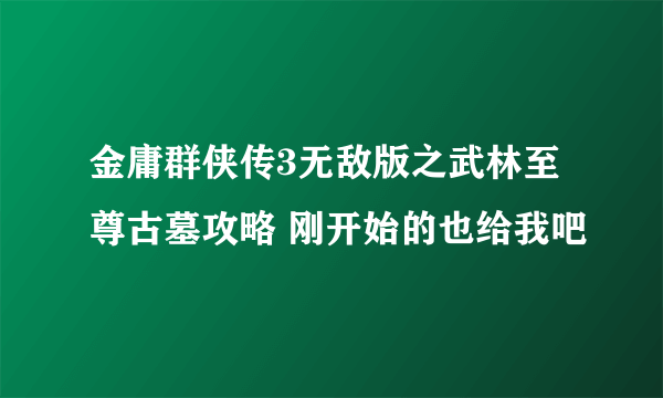 金庸群侠传3无敌版之武林至尊古墓攻略 刚开始的也给我吧