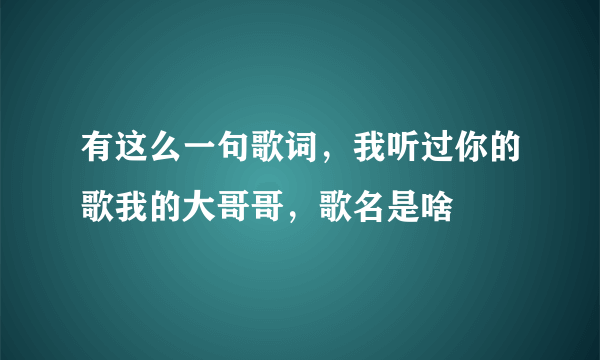 有这么一句歌词，我听过你的歌我的大哥哥，歌名是啥