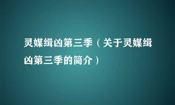 灵媒缉凶第三季（关于灵媒缉凶第三季的简介）