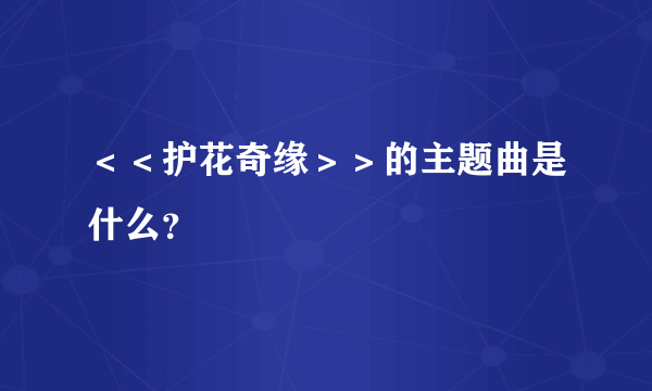 ＜＜护花奇缘＞＞的主题曲是什么？