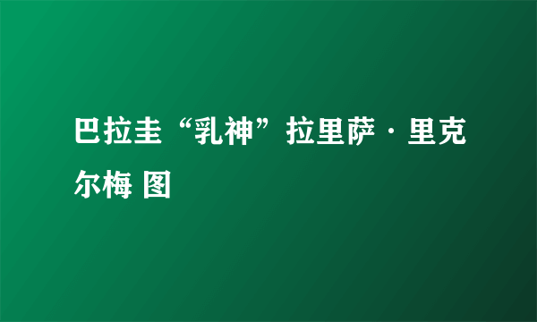 巴拉圭“乳神”拉里萨·里克尔梅 图