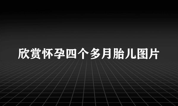 欣赏怀孕四个多月胎儿图片