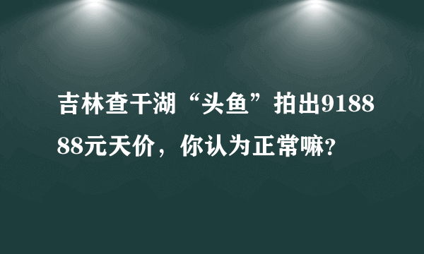 吉林查干湖“头鱼”拍出918888元天价，你认为正常嘛？