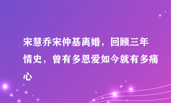 宋慧乔宋仲基离婚，回顾三年情史，曾有多恩爱如今就有多痛心