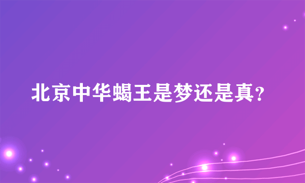 北京中华蝎王是梦还是真？