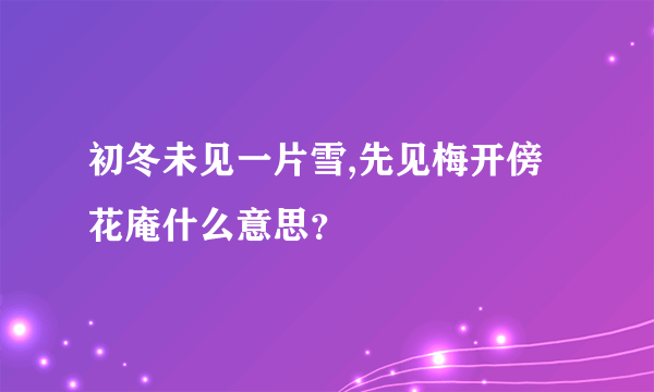 初冬未见一片雪,先见梅开傍花庵什么意思？