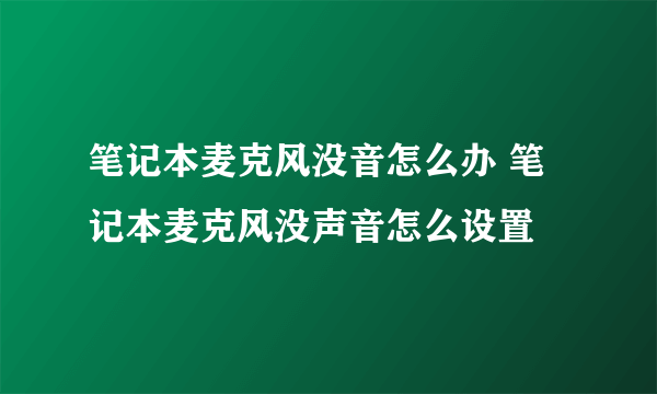 笔记本麦克风没音怎么办 笔记本麦克风没声音怎么设置