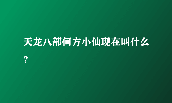 天龙八部何方小仙现在叫什么？