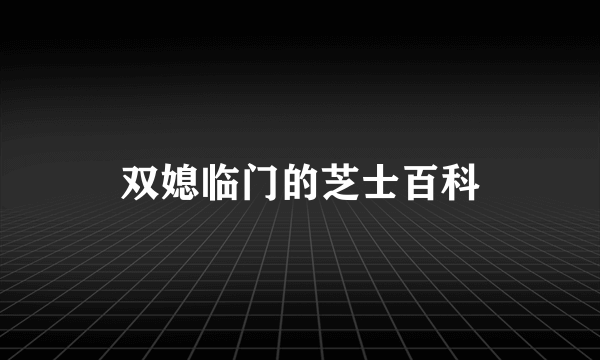 双媳临门的芝士百科