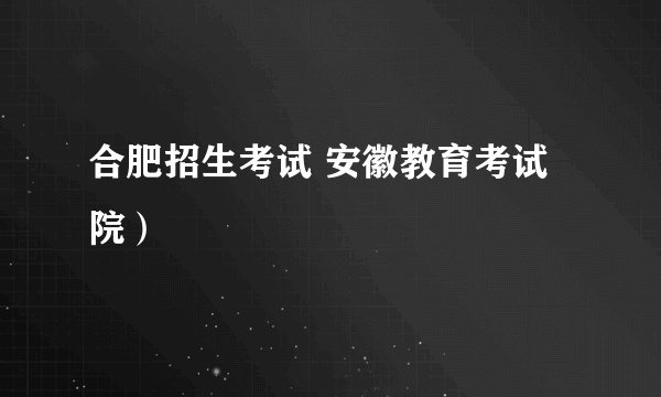 合肥招生考试 安徽教育考试院）