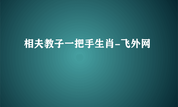 相夫教子一把手生肖-飞外网