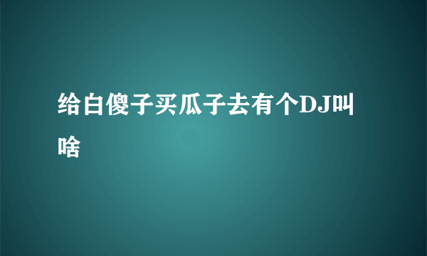 给白傻子买瓜子去有个DJ叫啥