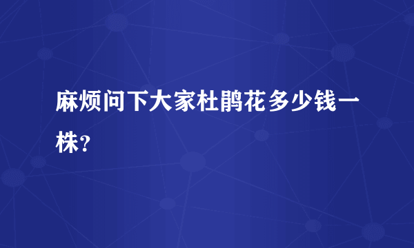 麻烦问下大家杜鹃花多少钱一株？