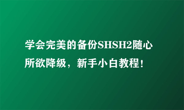 学会完美的备份SHSH2随心所欲降级，新手小白教程！