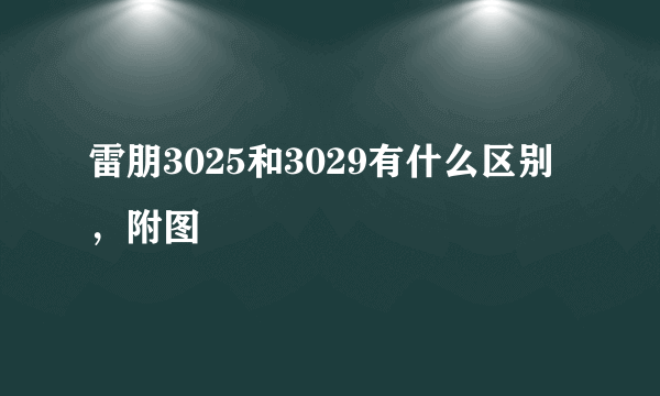 雷朋3025和3029有什么区别，附图