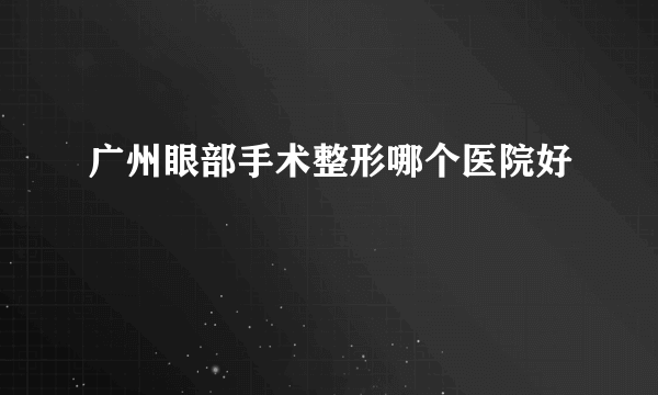 广州眼部手术整形哪个医院好