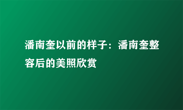 潘南奎以前的样子：潘南奎整容后的美照欣赏