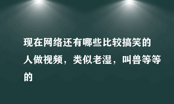 现在网络还有哪些比较搞笑的人做视频，类似老湿，叫兽等等的