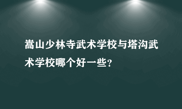 嵩山少林寺武术学校与塔沟武术学校哪个好一些？