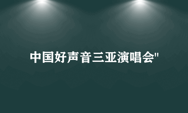 中国好声音三亚演唱会